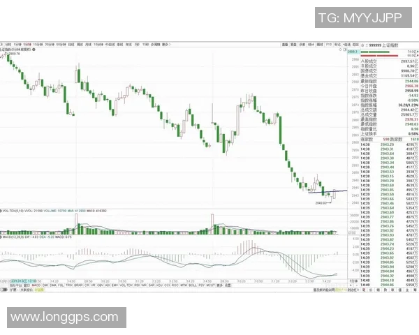 广东与深圳精彩对决视频直播全程回顾与分析